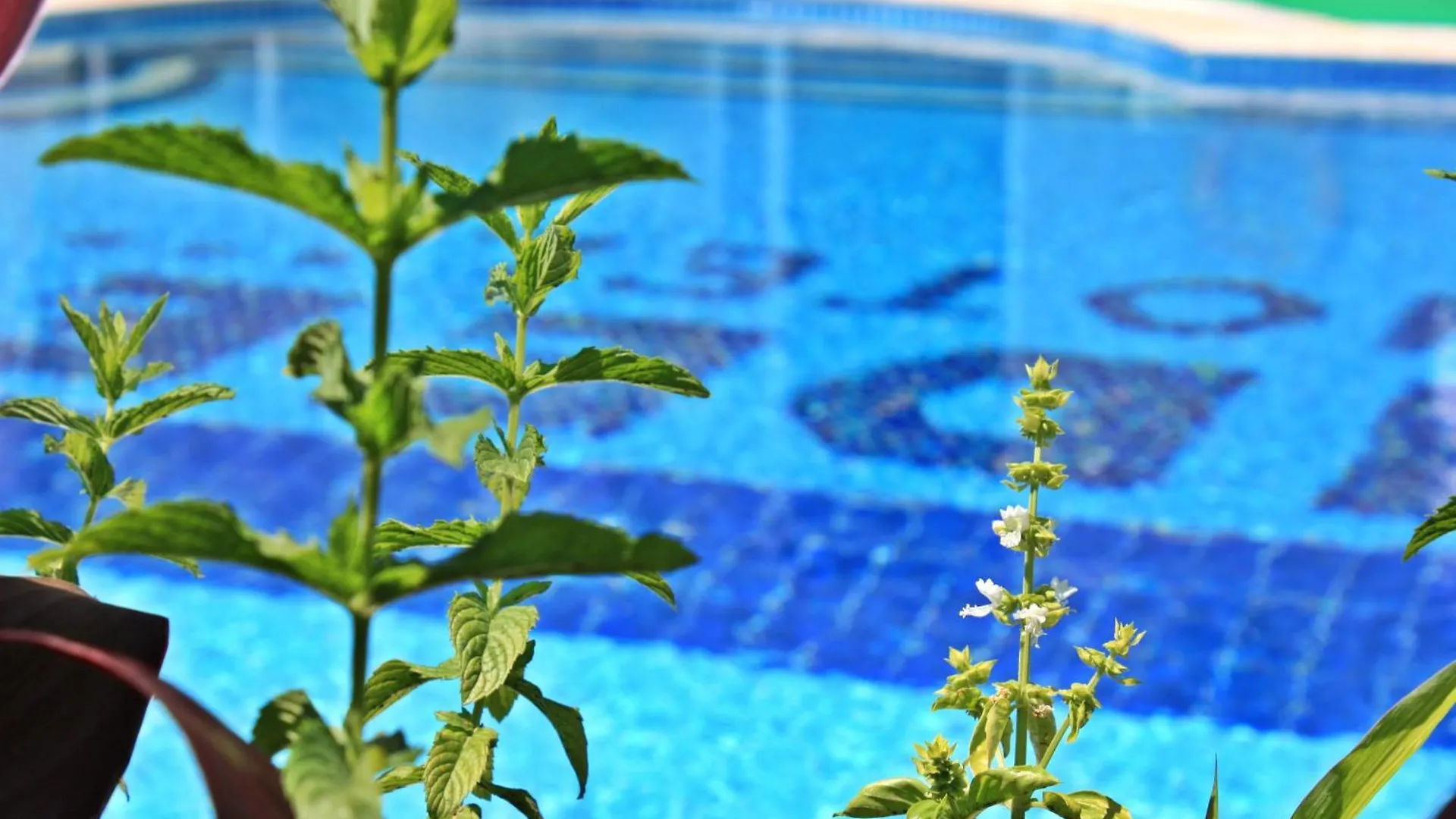 Idee Suites Fethiye Hotel
